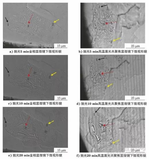 高溫激光共聚焦動態(tài)觀察用無腐蝕試樣的制備