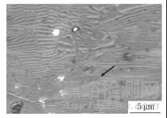高溫激光共聚焦動態(tài)觀察用無腐蝕試樣的制備