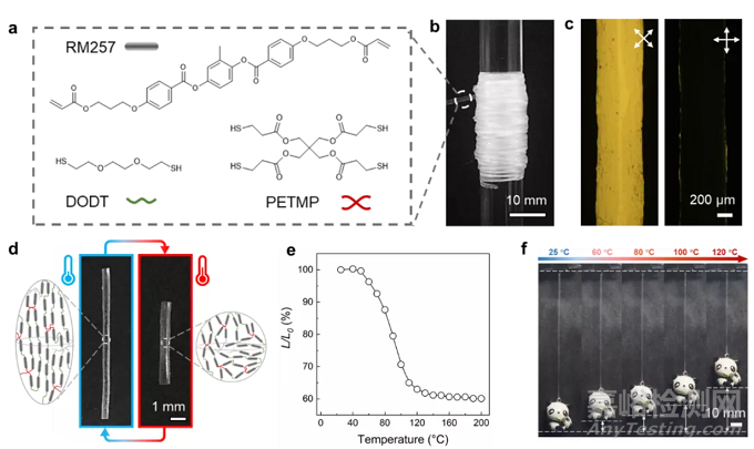 利用液晶彈性體纖維仿生構(gòu)筑人工心肌