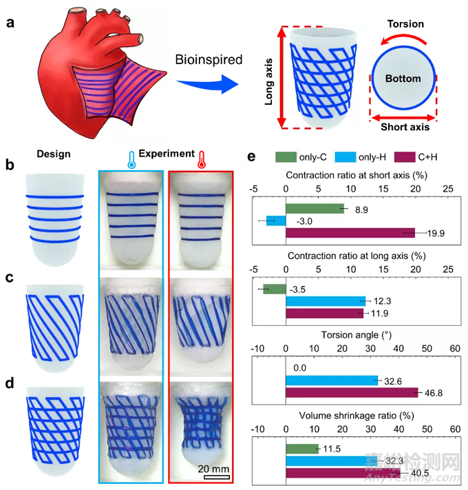 利用液晶彈性體纖維仿生構(gòu)筑人工心肌