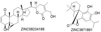計(jì)算機(jī)輔助藥物設(shè)計(jì)在天然產(chǎn)物新藥研發(fā)中的應(yīng)用