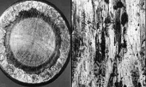 常見軸承磨損失效模式與分析