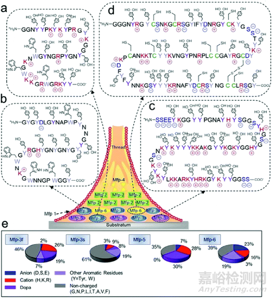 《JMCB》四川大學王軍: 用于組織工程的自粘水凝膠
