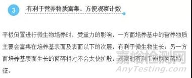 微生物培養(yǎng)皿接種后要倒置培養(yǎng)的原因分析