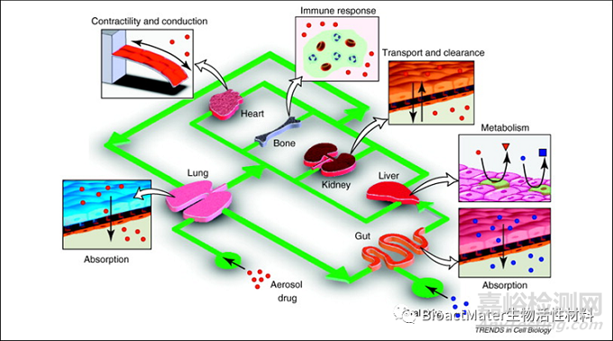 藥械組合產(chǎn)品的監(jiān)管考量