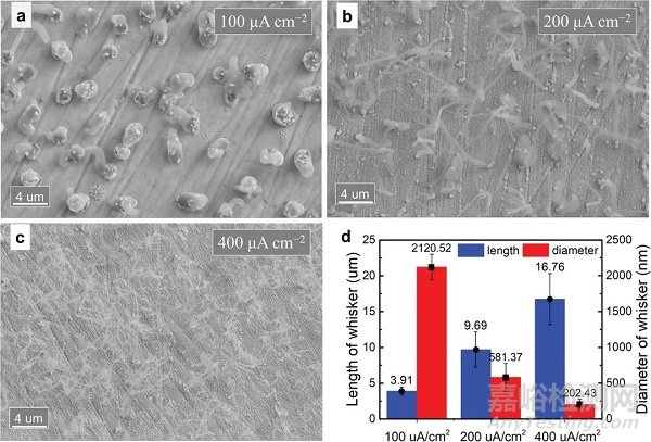 廈門大學固態(tài)電池新進展！