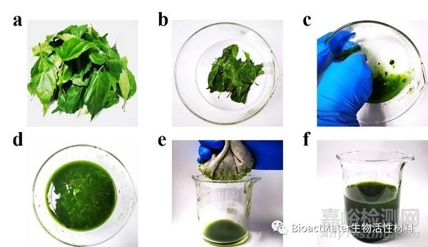 中藥微針補片用于創(chuàng)面修復(fù)|Bioactive Materials