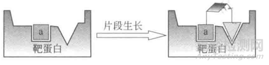 基于片段的藥物設(shè)計