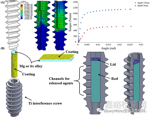 可生物降解鎂界面螺釘在ACL重建中的臨床應用與挑戰(zhàn)