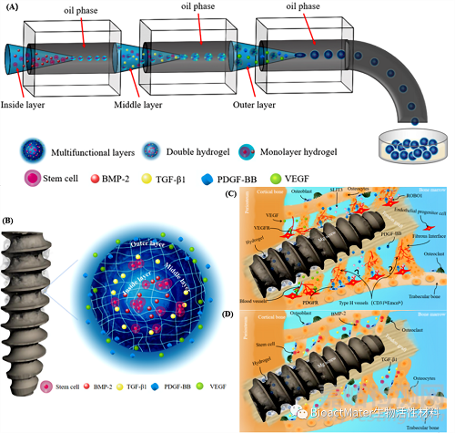 可生物降解鎂界面螺釘在ACL重建中的臨床應用與挑戰(zhàn)