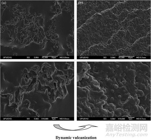 改善高性能熱塑性硫化橡膠阻尼性能的新方法