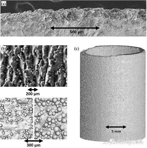 金屬增材制造零件的斷裂與疲勞特性——缺陷與后處理手段