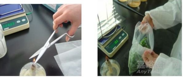 微生物取樣、樣品制備技巧及稀釋、接種、培養(yǎng)方法匯總！