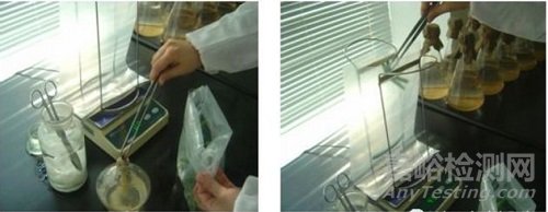 微生物取樣、樣品制備技巧及稀釋、接種、培養(yǎng)方法匯總！