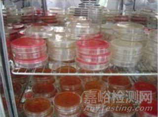 微生物取樣、樣品制備技巧及稀釋、接種、培養(yǎng)方法匯總！