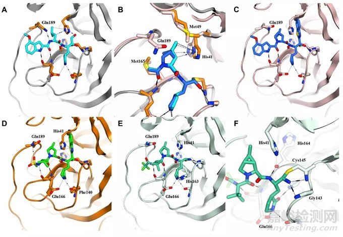 輝瑞新冠口服藥物的分子設(shè)計的研發(fā)故事