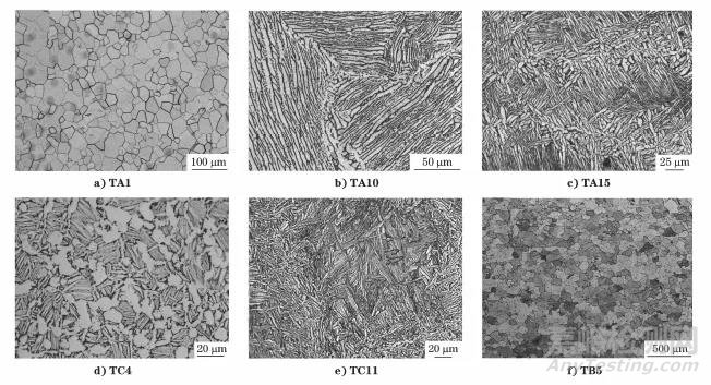 不同類型鈦及鈦合金金相試樣制備方法