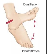 下肢康復(fù)機(jī)器人Rewalk（RWLK）獲FDA突破性設(shè)備認(rèn)可