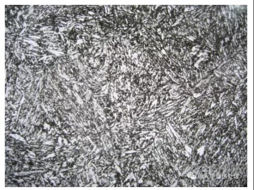 最全碳鋼金相微觀組織解析