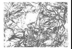 最全碳鋼金相微觀組織解析