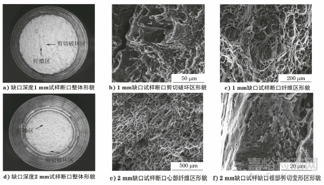 缺口對(duì)不同塑性金屬材料拉伸斷裂行為的影響