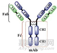 國內(nèi)大分子新藥研發(fā)格局