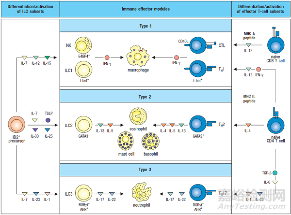 國內(nèi)大分子新藥研發(fā)格局