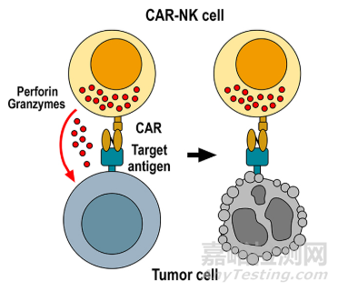 國內(nèi)大分子新藥研發(fā)格局