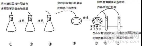 微生物的分離純化詳解