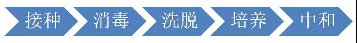 重復(fù)使用醫(yī)療器械再處理確認(rèn)——消毒確認(rèn)