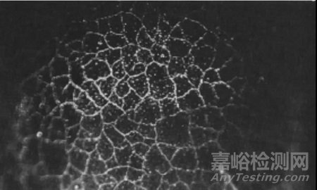 核電站控制棒驅(qū)動(dòng)機(jī)構(gòu)鉤爪部件鍍鉻層著色滲透檢測的評定