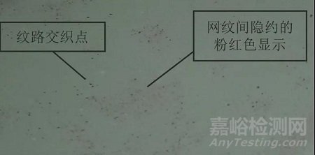 核電站控制棒驅(qū)動(dòng)機(jī)構(gòu)鉤爪部件鍍鉻層著色滲透檢測的評定