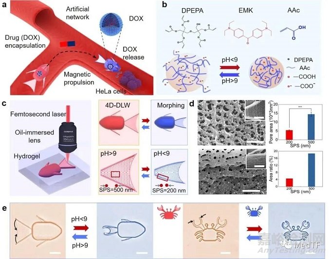 國產(chǎn)“魚形”微機(jī)器人實(shí)現(xiàn)化療精準(zhǔn)化 追求無副作用