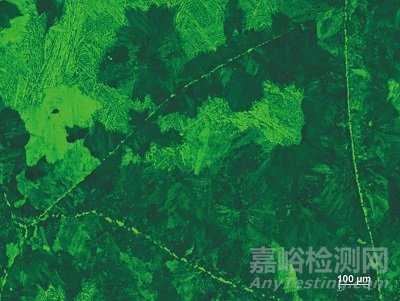 42CrMo鋼鍛坯中異常組織分析與改善