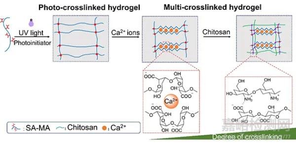 4D打印雙重刺激響應(yīng)海藻酸鈉水凝膠研究獲進(jìn)展