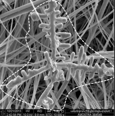 鋼中非金屬夾雜物的起源和控制