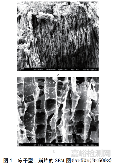 凍干型口崩片的研究進展