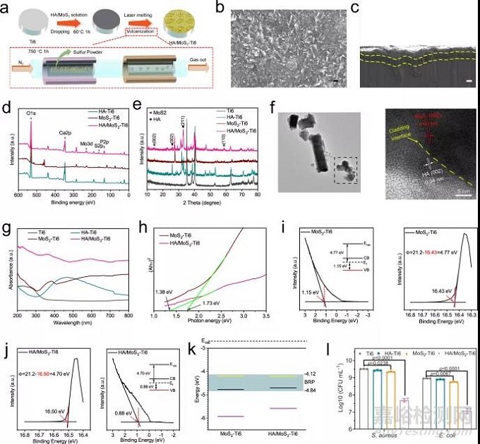 多功能骨種植體，兼具高效抗菌活性和成骨能力