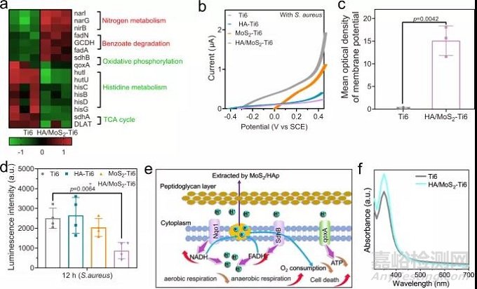 多功能骨種植體，兼具高效抗菌活性和成骨能力