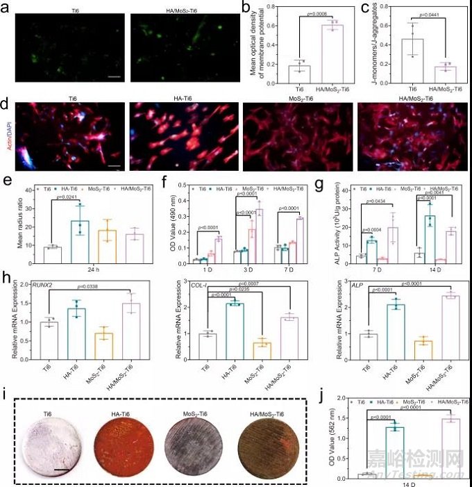多功能骨種植體，兼具高效抗菌活性和成骨能力