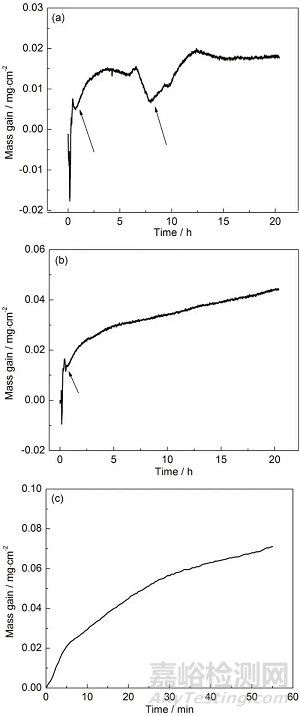 耐熱鎂合金的高溫氧化行為研究