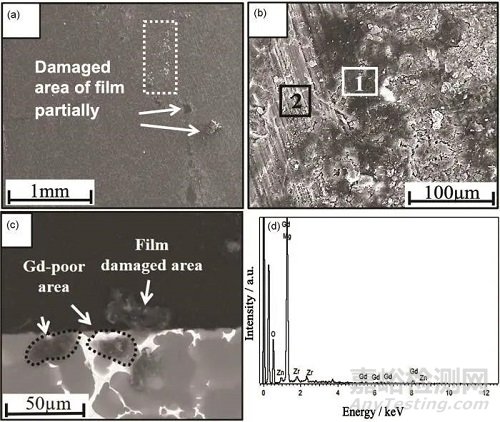 耐熱鎂合金的高溫氧化行為研究