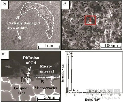 耐熱鎂合金的高溫氧化行為研究