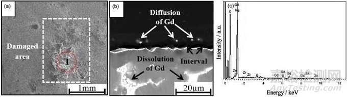 耐熱鎂合金的高溫氧化行為研究