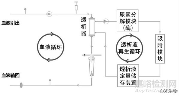 家庭血液透析的基本原理、國(guó)內(nèi)外現(xiàn)狀與未來(lái)展望
