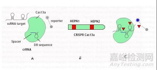 國(guó)內(nèi)外POCT最新技術(shù)發(fā)展趨勢(shì)