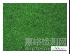 直升機連接螺栓突然斷裂失效分析