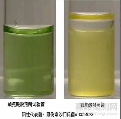 常見(jiàn)7種細(xì)菌鑒定生化反應(yīng)