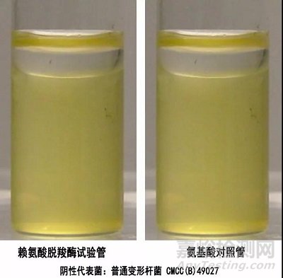 常見(jiàn)7種細(xì)菌鑒定生化反應(yīng)