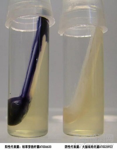 常見(jiàn)7種細(xì)菌鑒定生化反應(yīng)